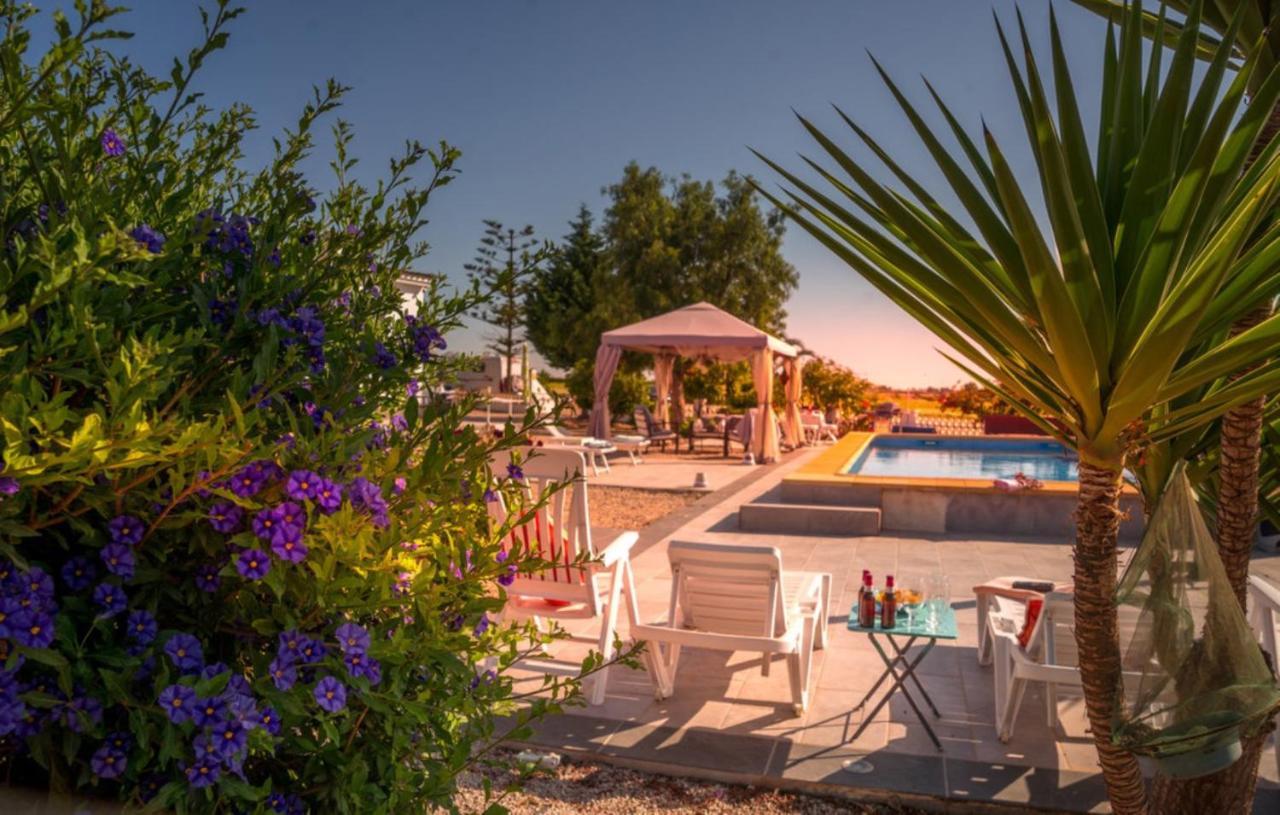 Exceptional Rico'S Country Retreat Almendricos Apartment Пуерто Лумбрерас Екстериор снимка